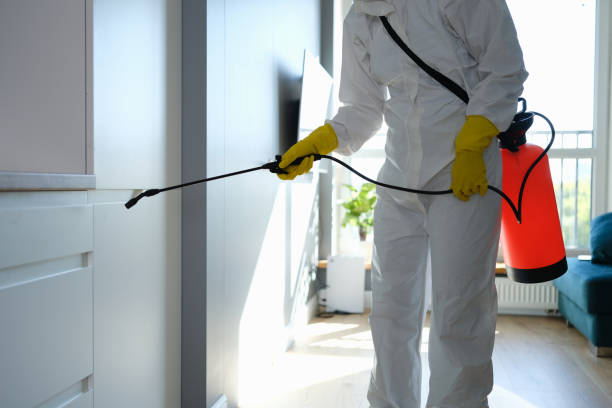 Best Mold Remediation for Schools in Delavan, IL