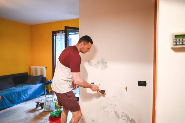 Best Residential Mold Remediation in Delavan, IL